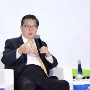 龍永圖談中國(guó)發(fā)展新能源產(chǎn)業(yè)：助力高質(zhì)量發(fā)展提升國(guó)際形象