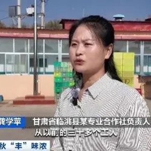 甘肅臨洮萬畝百合豐收，年加工能力達(dá)5000噸