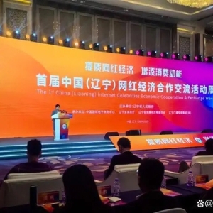 全省唯一電商代表！西豐鹿鄉(xiāng)綠港電商直播基地向全省分享“西豐電商模式”