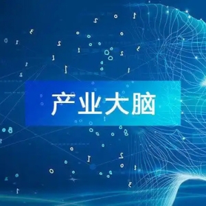 山東實(shí)數(shù)融合再添新“增量”：45個(gè)“產(chǎn)業(yè)大腦”開建，十大門類產(chǎn)業(yè)全覆蓋