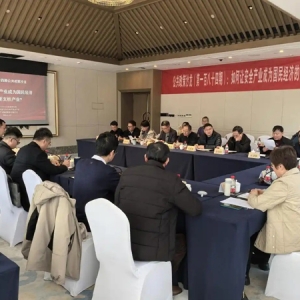 如何讓安全產(chǎn)業(yè)成為國民經(jīng)濟(jì)的重要支柱產(chǎn)業(yè)，看看專家怎么說