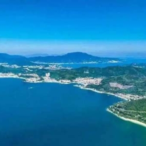 向海而興，深圳市大鵬新區(qū)多方聚力打造產(chǎn)業(yè)創(chuàng)新生態(tài)高地