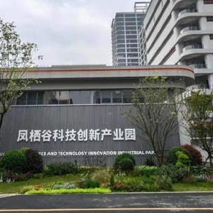 鳳棲谷科技創(chuàng)新產(chǎn)業(yè)園開園，天府新區(qū)“立園滿園”戰(zhàn)略加速推進(jìn)