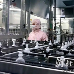 未來三年集群營收年均增長8% 河北印發(fā)方案吹響重點特色產(chǎn)業(yè)集群“沖鋒號”