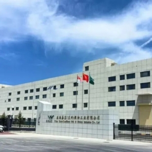 暢聯(lián)通道 產(chǎn)業(yè)賦能出海拓市場(chǎng)——解鎖新區(qū)一季度外貿(mào)亮眼成績(jī)單背后的開(kāi)放密碼