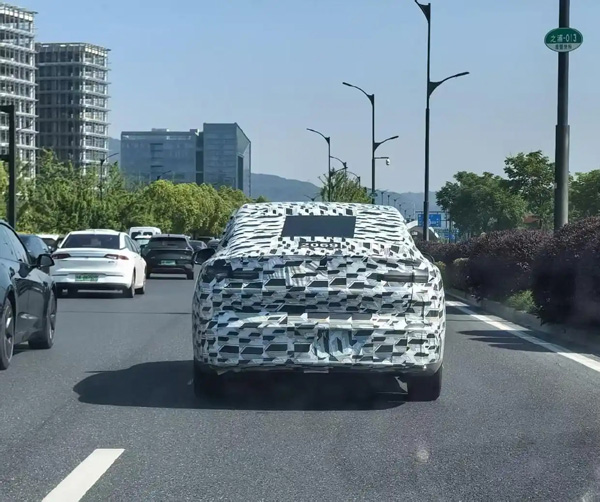 捂得嚴(yán)嚴(yán)實(shí)實(shí)，街頭這“蒙面車”究竟是什么車