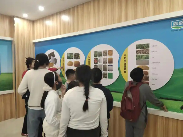 威海市文登區(qū)：“文化為墨”構(gòu)建全齡共享文化陣地