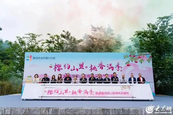 青島西海岸新區(qū)：國際推介官助力鄉(xiāng)村振興，櫻桃產(chǎn)業(yè)擘畫共富圖景