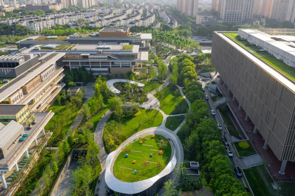 “四館一園”公共空間完成優(yōu)化提升，浦東“城市綠色客廳”煥新亮相