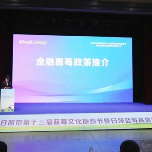 李揚揚：想為日照陳疃藍莓產(chǎn)業(yè)鏈用戶提供更多金融服務(wù)