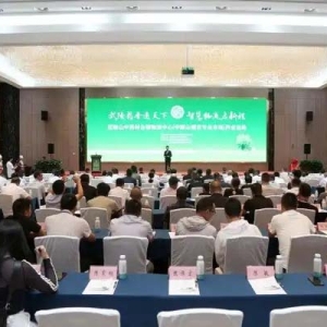 從“一朵花”到百億級產(chǎn)業(yè) 看重慶秀山如何破局中藥材產(chǎn)業(yè)現(xiàn)代化